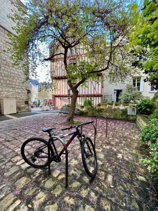Appartement Cosy Hypercentre Place St Pierre Saumur Kültér fotó