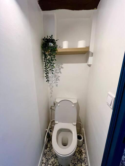 Appartement Cosy Hypercentre Place St Pierre Saumur Kültér fotó